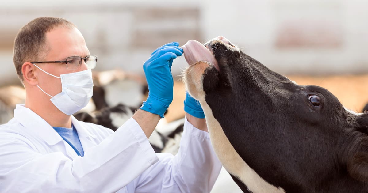 UK Farm Vet Software